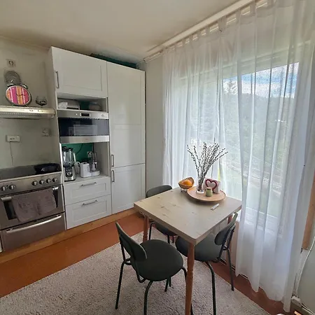 Apartman Scandinavian